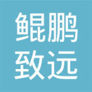 鲲鹏致远(北京)企业形象策划 塑造卓越品牌，引领企业未来